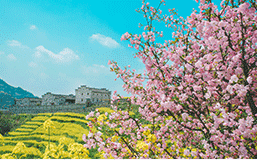 德曼企業(yè)風(fēng)采